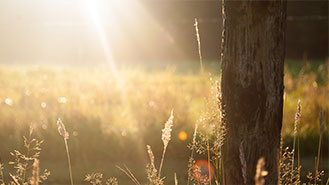 网站攻击工具手机版