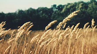 免费ddos压力测试平台